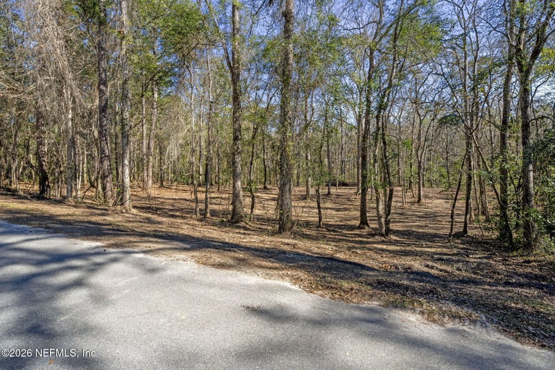 2764 Indigo Cir, Middleburg, FL 32068