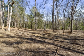 2764 Indigo Cir, Middleburg, FL 32068