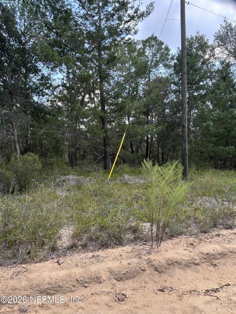 136 Martin St, Interlachen, FL 32148