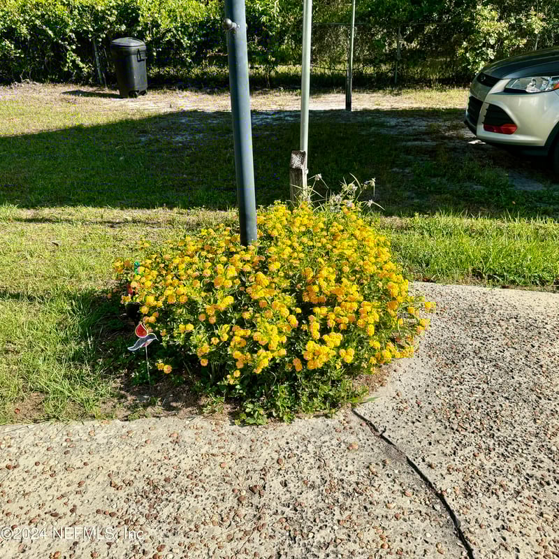 105 George Ave, Interlachen, FL 32148