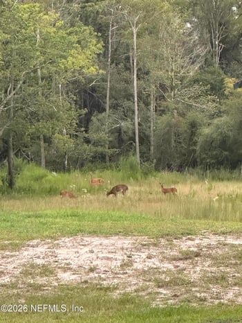 15779 Mohawk St, Glen St Mary, FL 32040