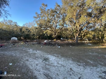 1940 Peregrine Pl, Middleburg, FL 32068