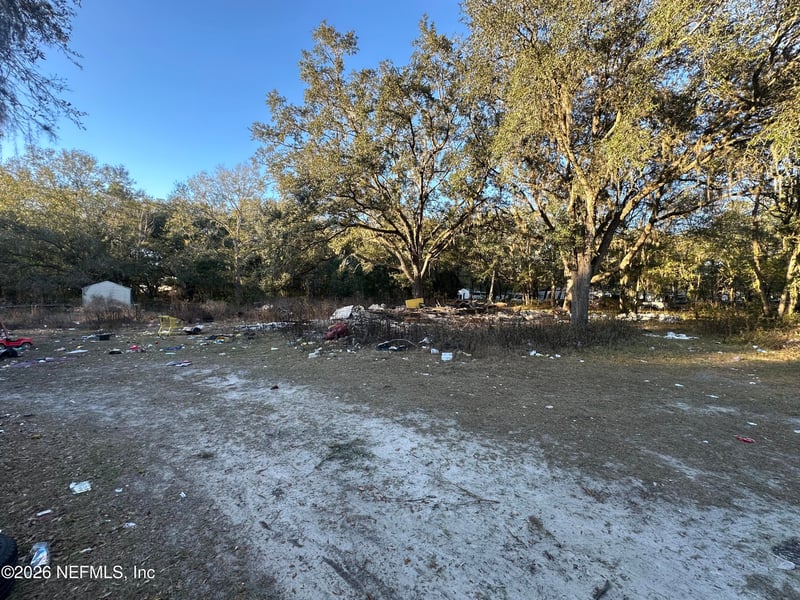 1940 Peregrine Pl, Middleburg, FL 32068