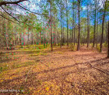 27 Ratliff Rd, Callahan, FL 32011