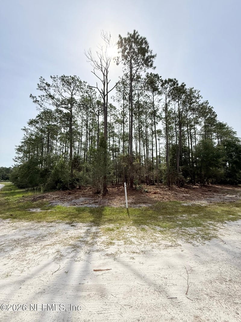 34 Whispering Pines Rd, Georgetown, FL 32139