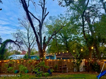 3349 College St, Jacksonville, FL 32205