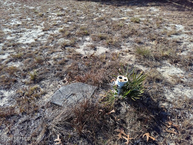 105 Brown St, Interlachen, FL 32148