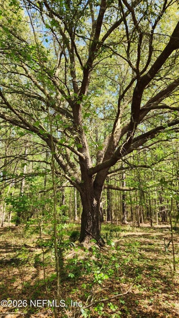 4400 Falcon Run Ln, Middleburg, FL 32068