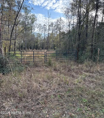 4335 Isaac St, Hastings, FL 32145