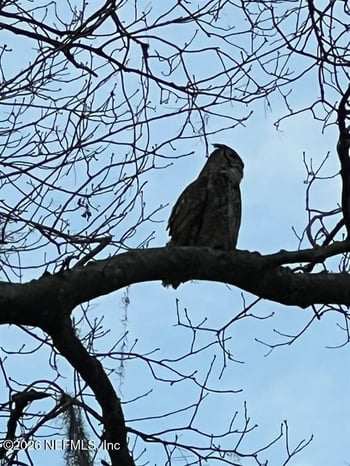 3051 Sea Marsh Rd, Fernandina Beach, FL 32034