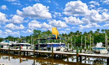 100 Canopy Walk Ln #112, Palm Coast, FL 32137