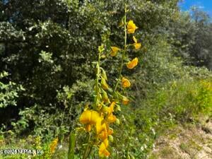 6076 Indian Trl, Keystone Heights, FL 32656