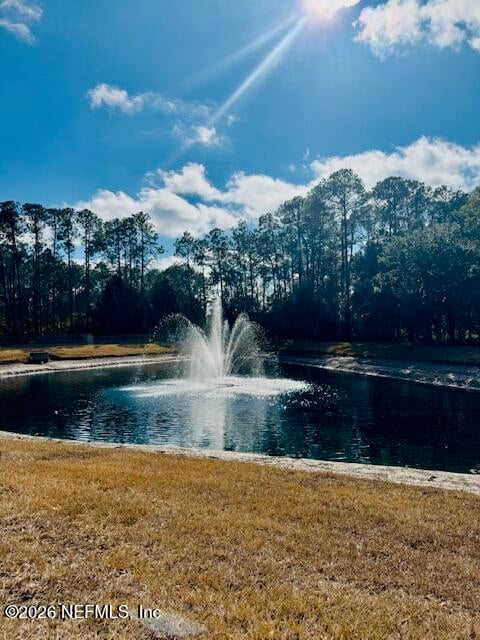 11805 Parker Lakes Dr, Jacksonville, FL 32221