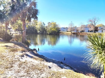 375 Greencastle Rd #72, Jacksonville, FL 32225