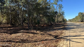 131 Spring Lake Dr, Interlachen, FL 32148