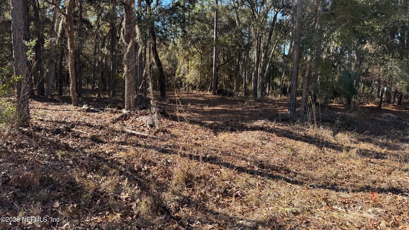 131 Spring Lake Dr, Interlachen, FL 32148