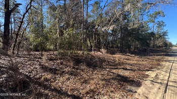 131 Spring Lake Dr, Interlachen, FL 32148