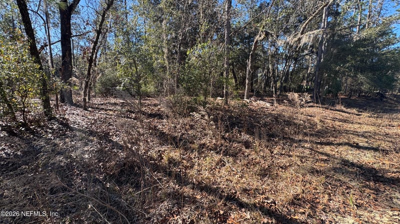 131 Spring Lake Dr, Interlachen, FL 32148