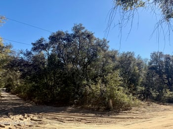 143 Oak Cir, Interlachen, FL 32148