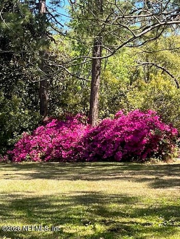 0 Alpha Ave, Jacksonville, FL 32205