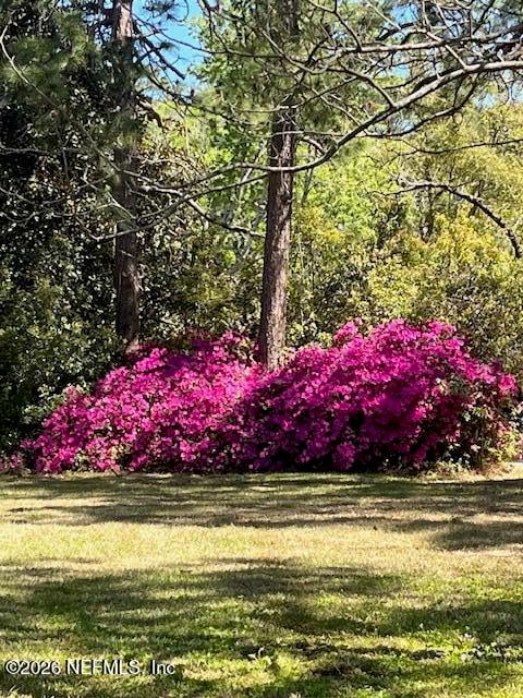 0 Alpha Ave, Jacksonville, FL 32205