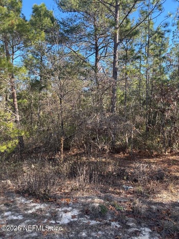 7457 Bienville Ave, Keystone Heights, FL 32656