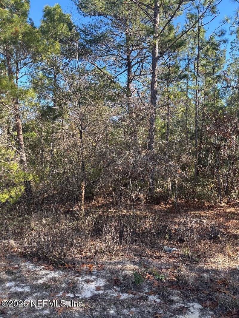 7457 Bienville Ave, Keystone Heights, FL 32656