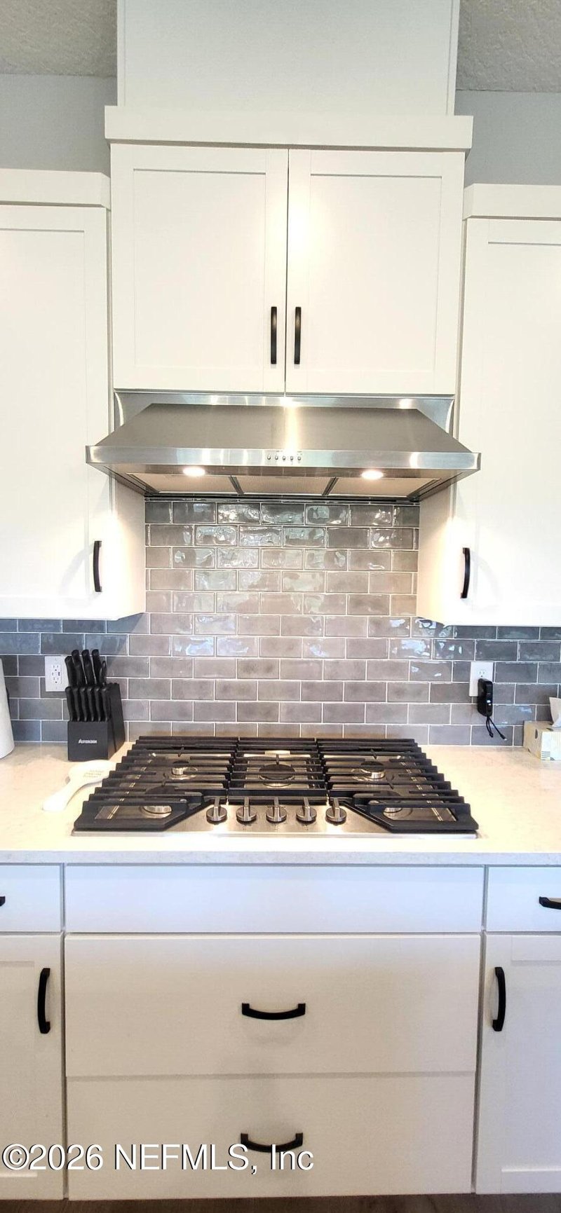 252 Dalton Mill Dr, St Johns, FL 32259