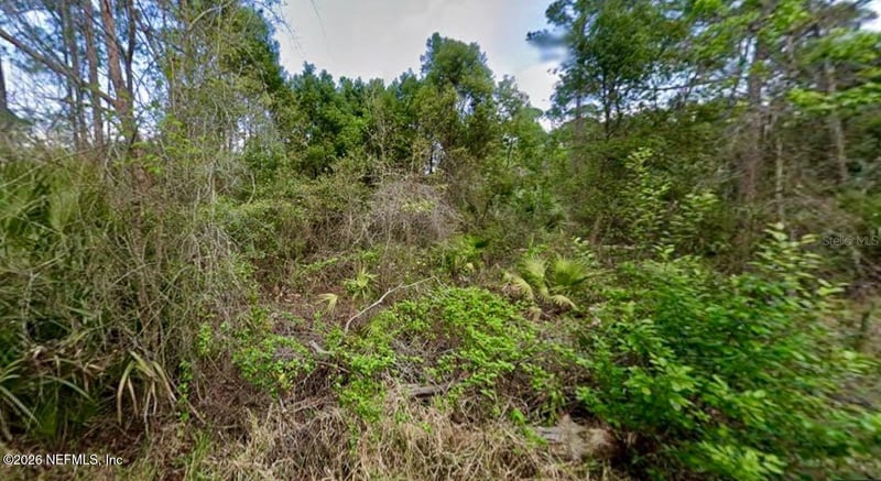 31217 Lorine St, Deland, FL 32720