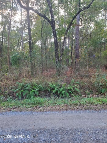 4825 Joseph St, Hastings, FL 32145