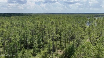 Us Highway 301, Bryceville, FL 32209