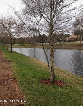 843 Black Cherry Dr, St Johns, FL 32259