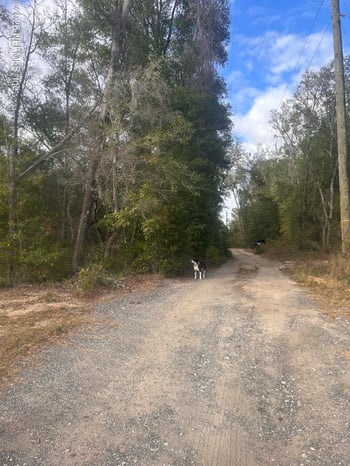 State Road 20, Hawthorne, FL 32640