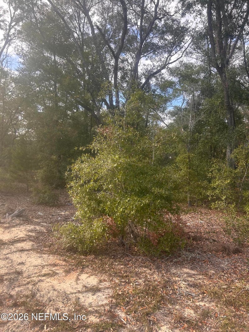 0 State Road 20, Hawthorne, FL 32640