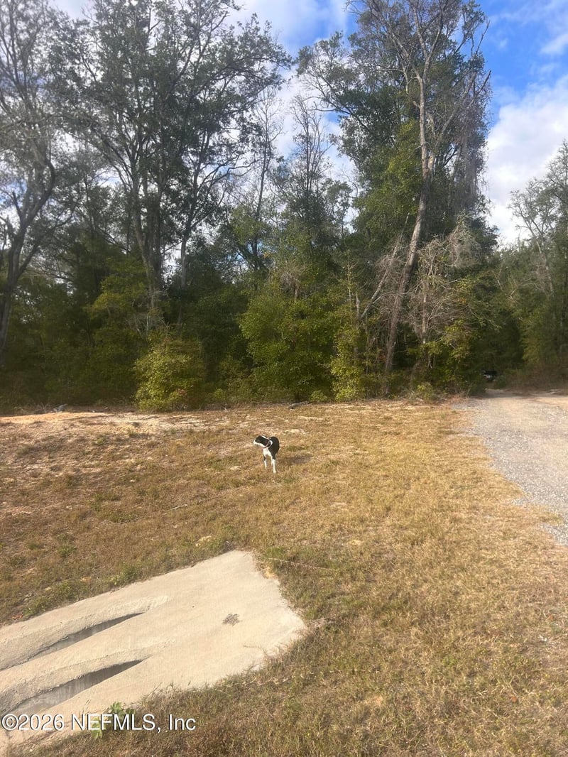 0 State Road 20, Hawthorne, FL 32640