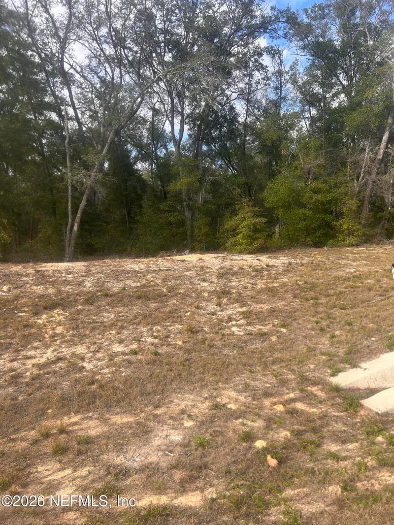 0 State Road 20, Hawthorne, FL 32640