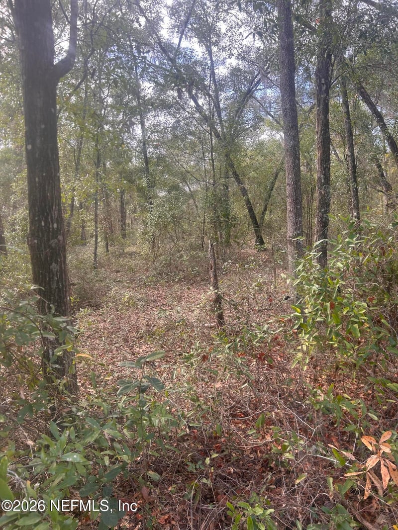 0 State Road 20, Hawthorne, FL 32640