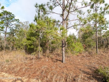 430 Cherry St, Interlachen, FL 32148