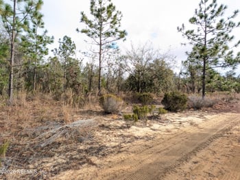 430 Cherry St, Interlachen, FL 32148