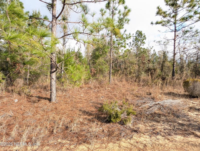 430 Cherry St, Interlachen, FL 32148