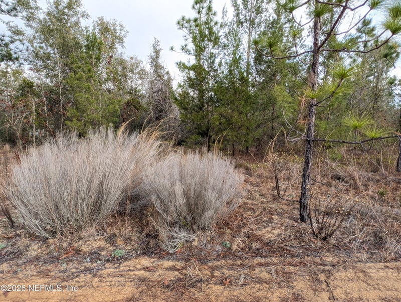 430 Cherry St, Interlachen, FL 32148