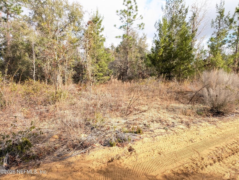 430 Cherry St, Interlachen, FL 32148