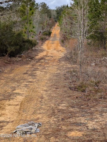 430 Cherry St, Interlachen, FL 32148