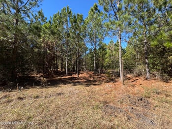 105th Ter, Brooker, FL 32622