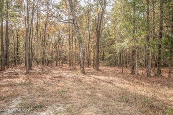 13890 County Road 124, Sanderson, FL 32087