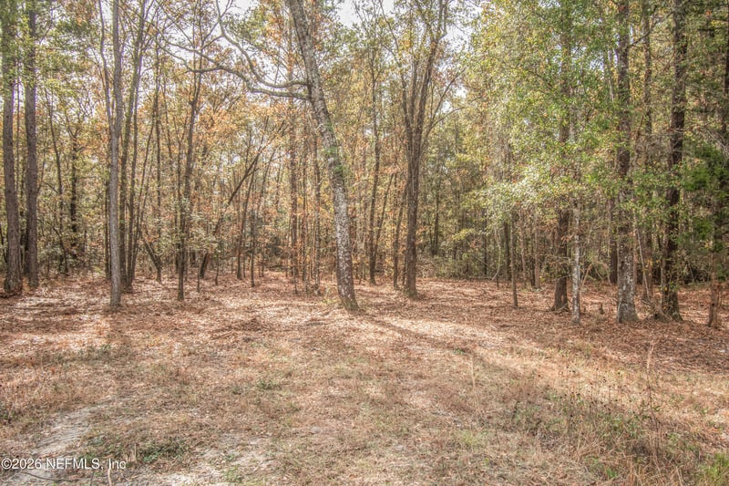 13890 County Road 124, Sanderson, FL 32087