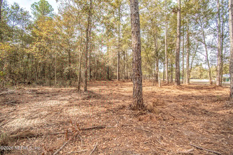 13890 County Road 124, Sanderson, FL 32087