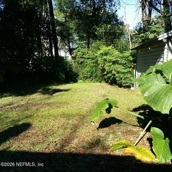 1231 Miramar Ave, Jacksonville, FL 32207