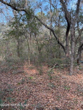 102 David Dr, Interlachen, FL 32148