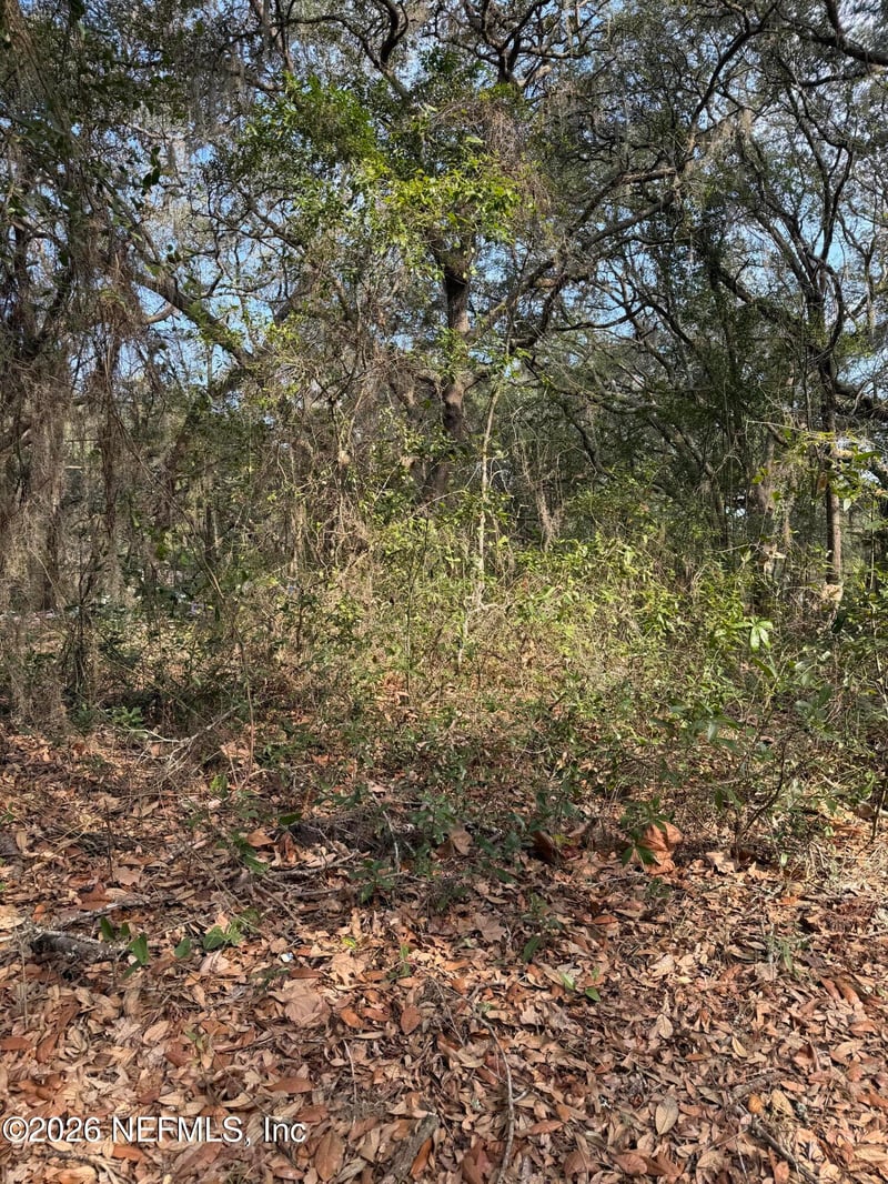 102 David Dr, Interlachen, FL 32148